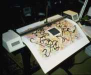 First use of plotted brush strokes